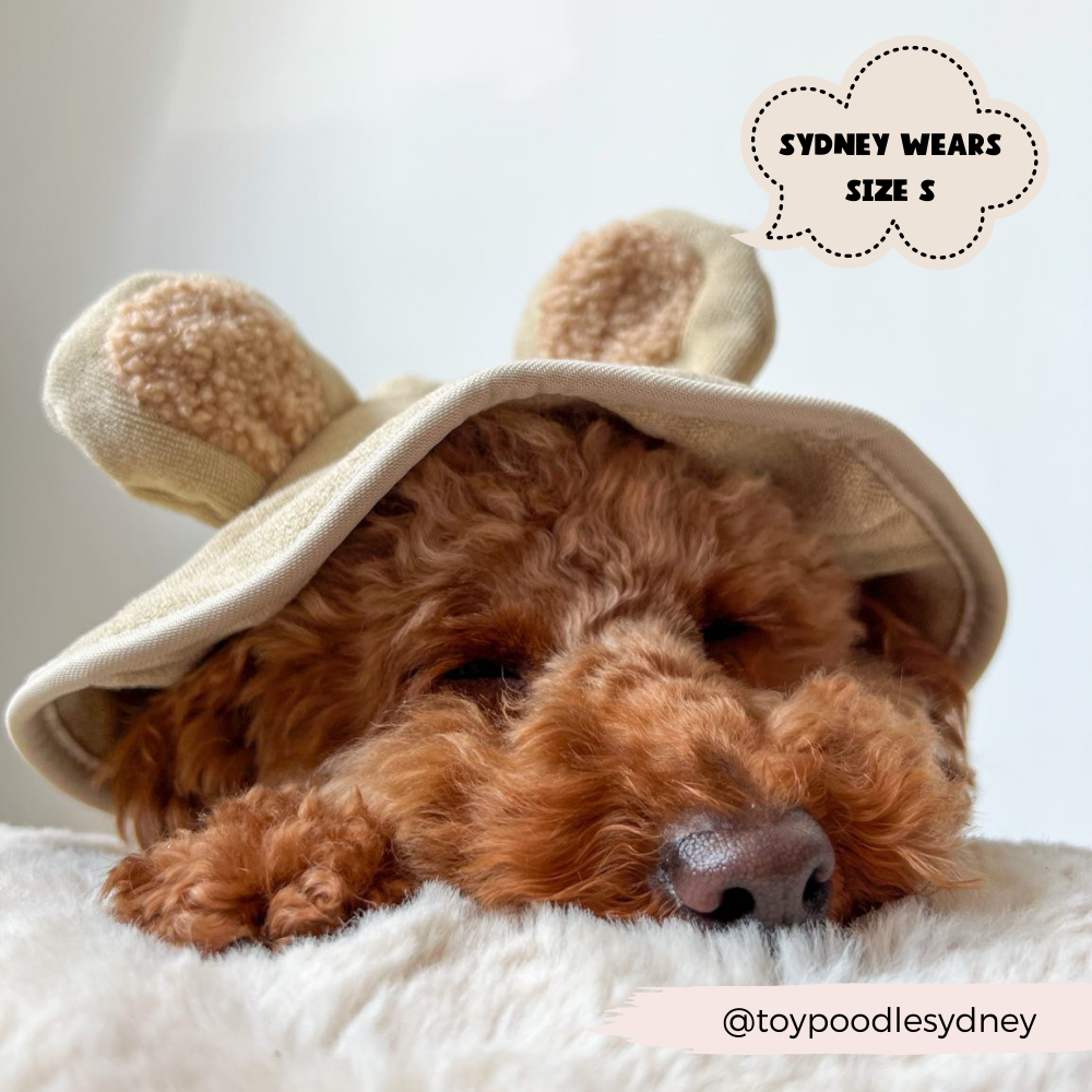 Cocopup Teddy Drying Robe