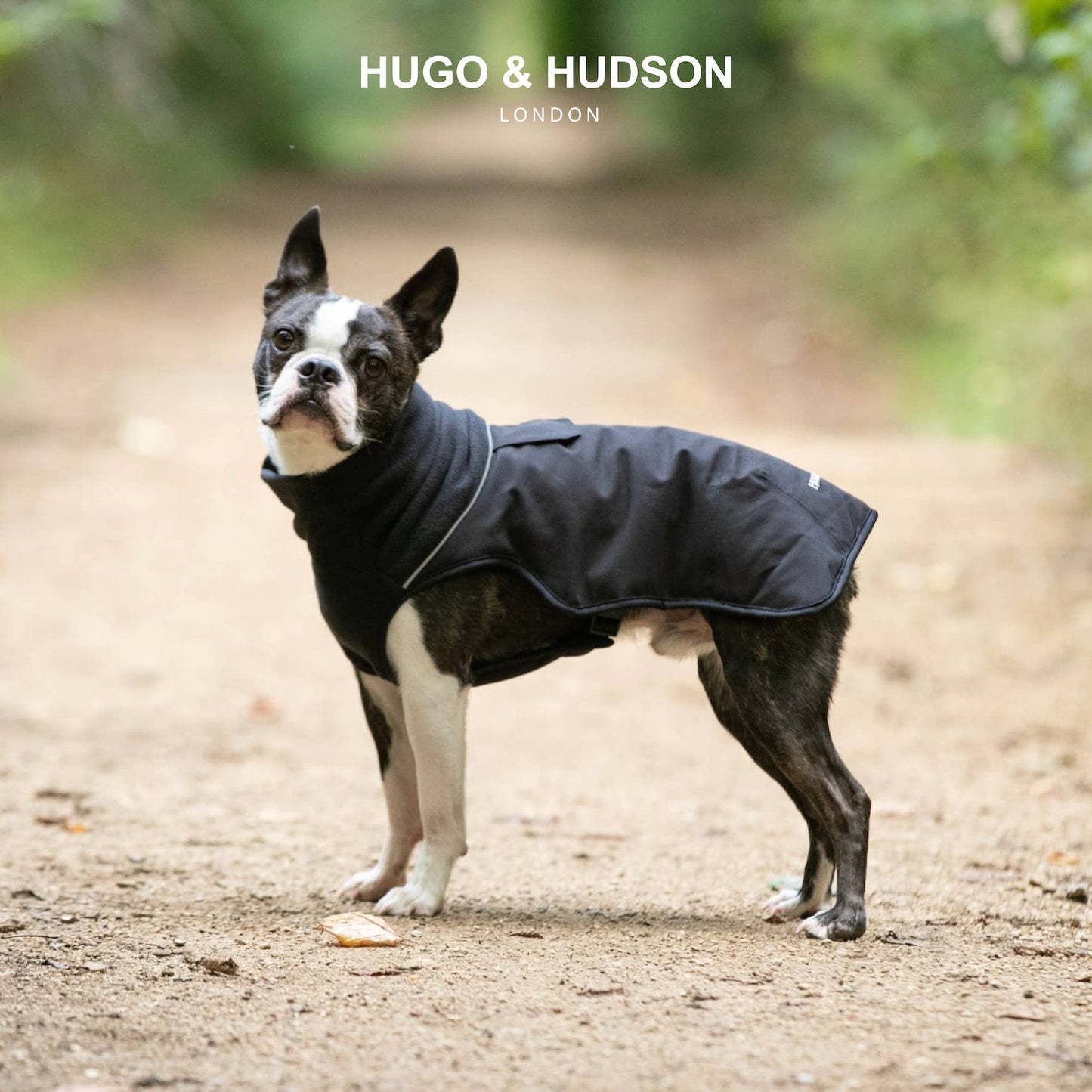 Hugo and Hudson Thermal Self Heating Dog Jacket