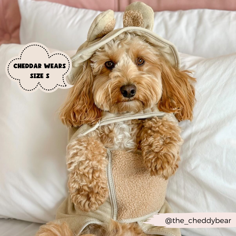 Cocopup Teddy Drying Robe