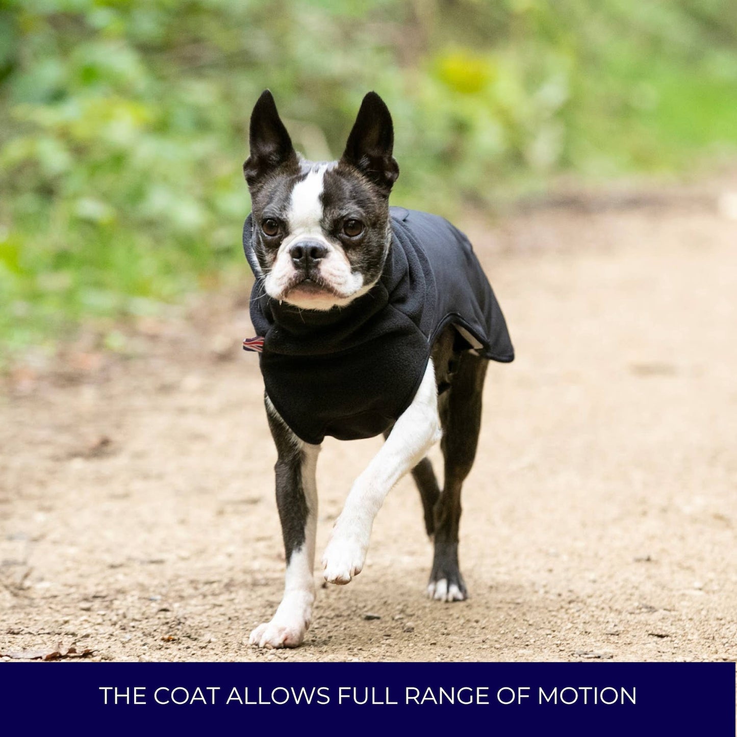 Hugo and Hudson Thermal Self Heating Dog Jacket