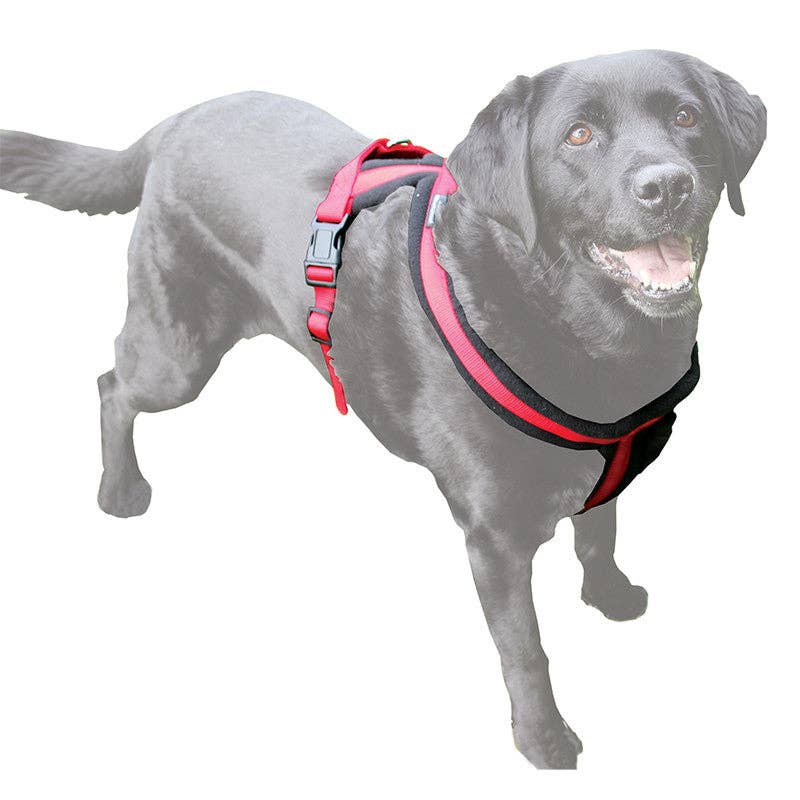 Miro & Makauri Premium Fleece Padded Black Dog Harness