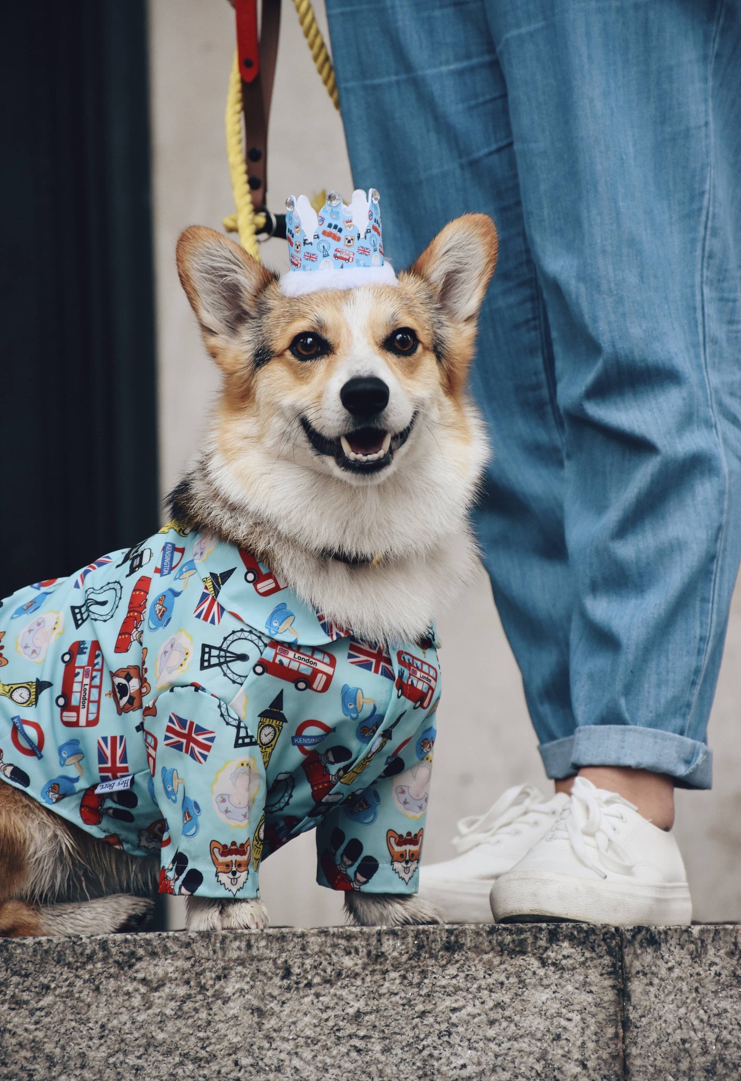Yas Queen London British Dog Shirt