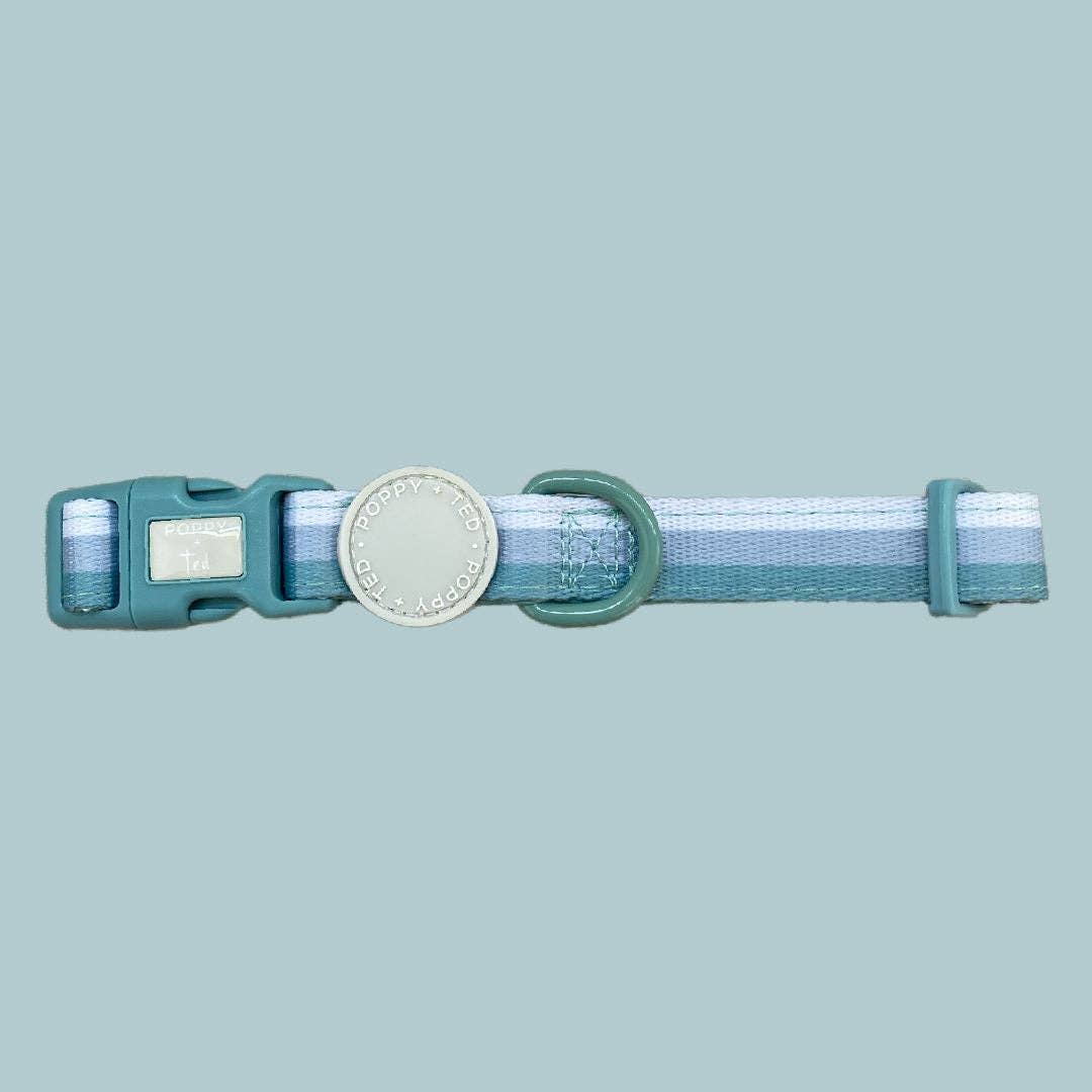 Ombré Essentials | Dog Collar | Mint Green