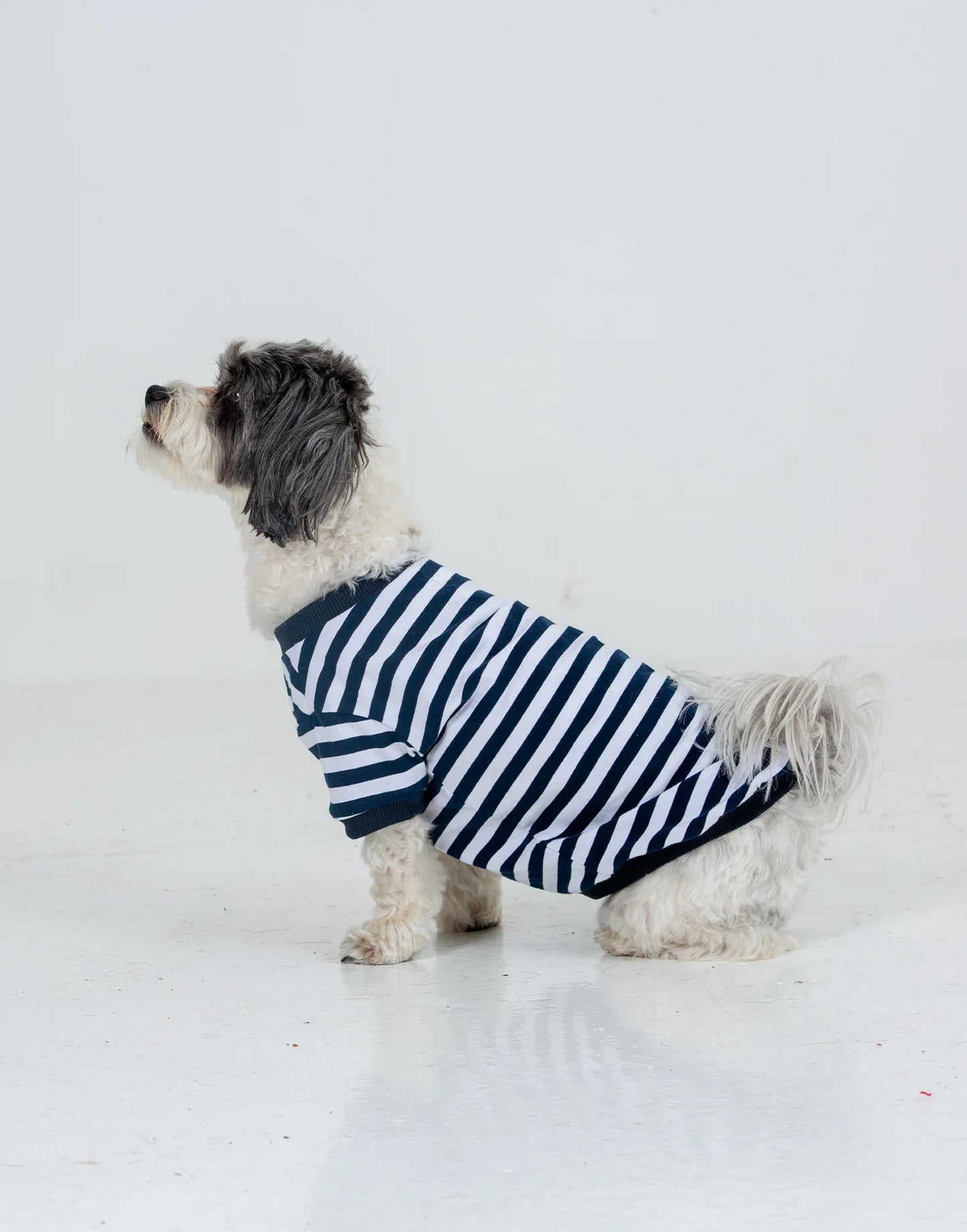 Striped Dog Tee - BLUE