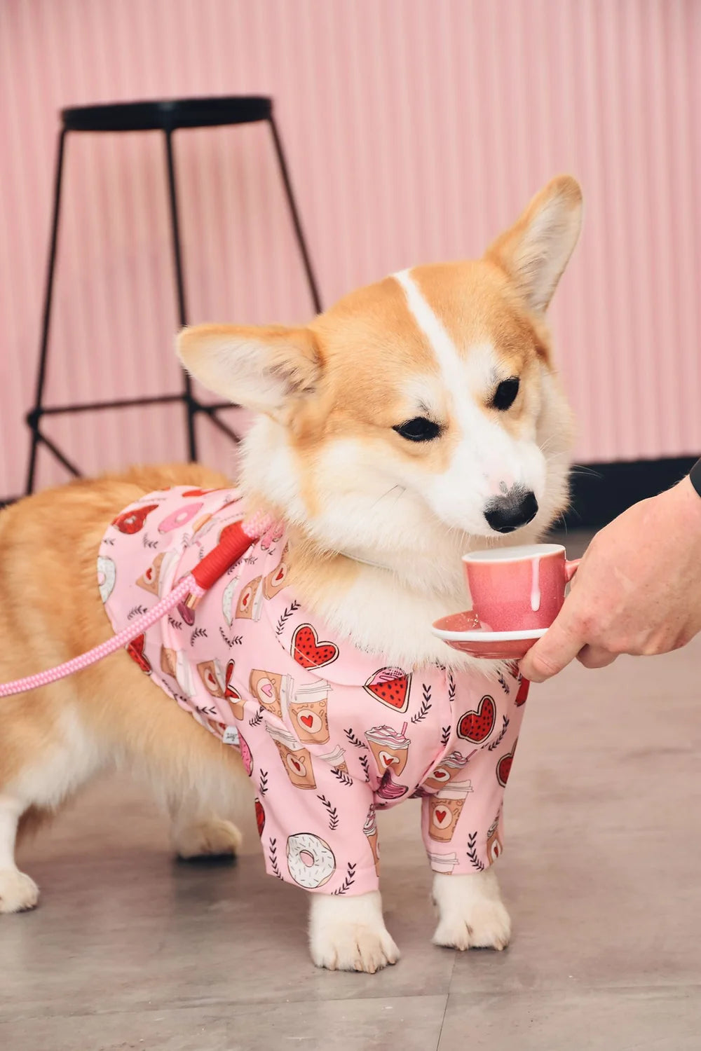 Pink shop dog shirt