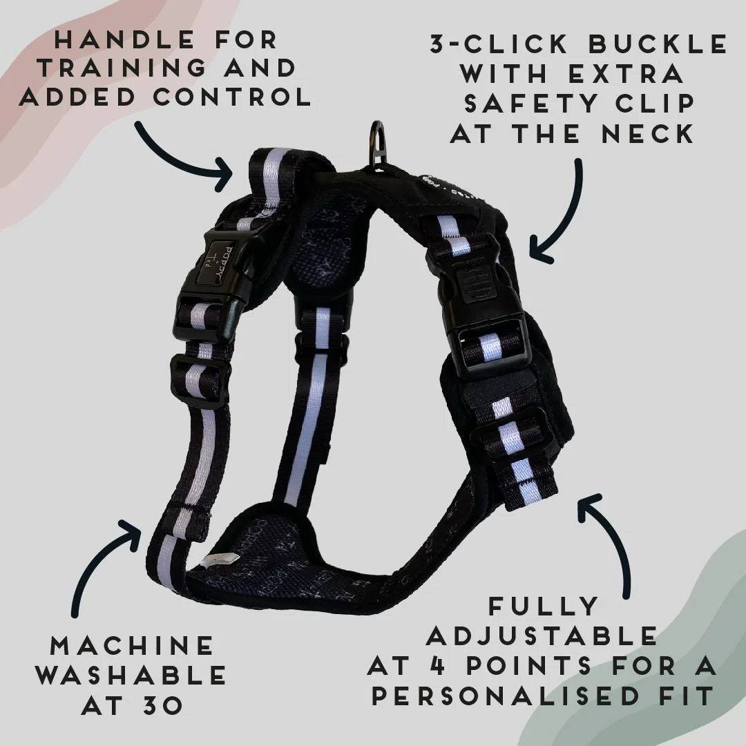 Jet Black Ombré Essentials 3-Click Tough Harness