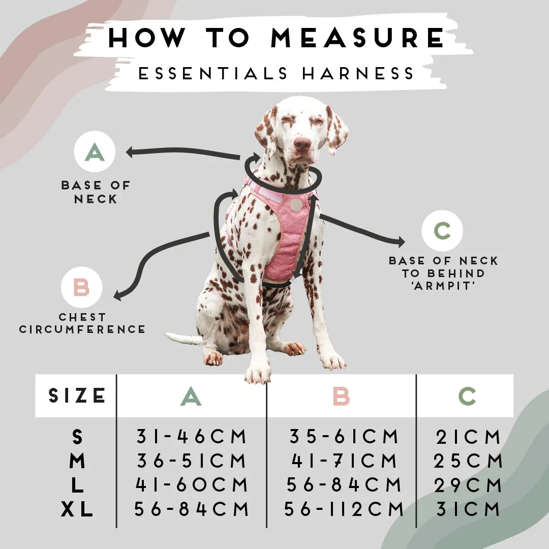 Jet Black Ombré Essentials 3-Click Tough Harness