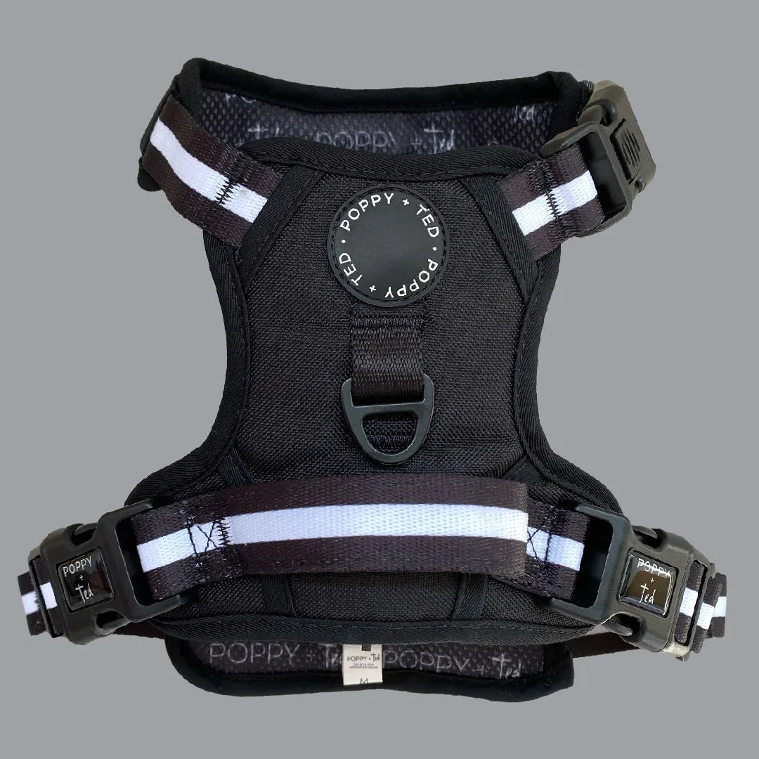 Jet Black Ombré Essentials 3-Click Tough Harness