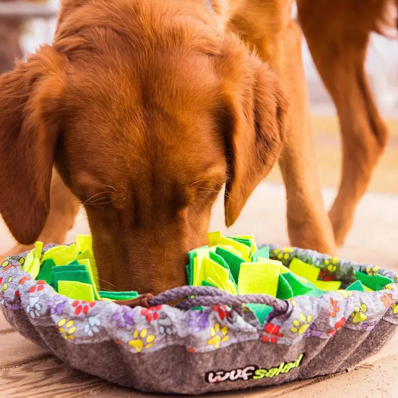 WufSalad Snuffle Mat Interactive Dog Toy