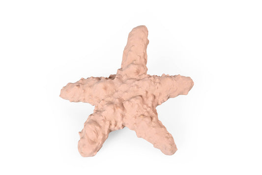 Recycled Rubber Starfish Dog Treat Toy