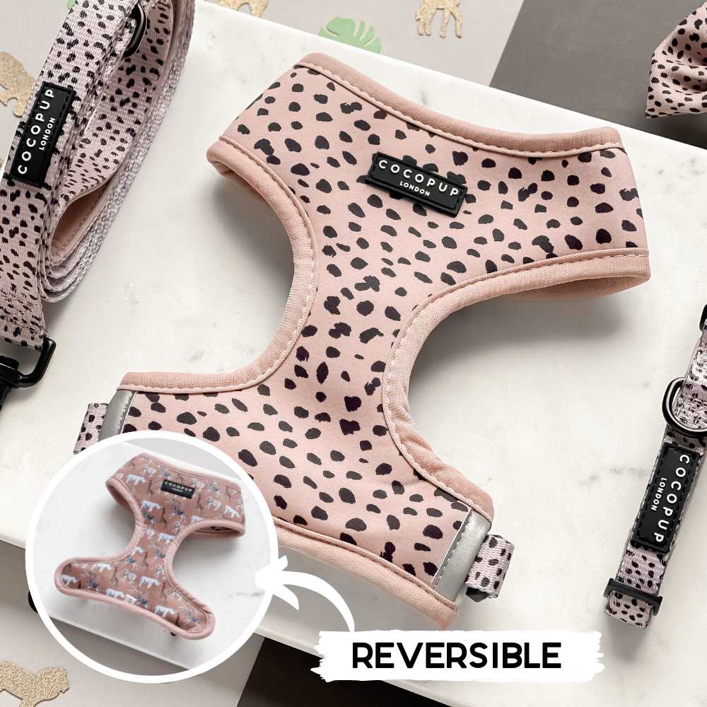 Tan Spots Harness