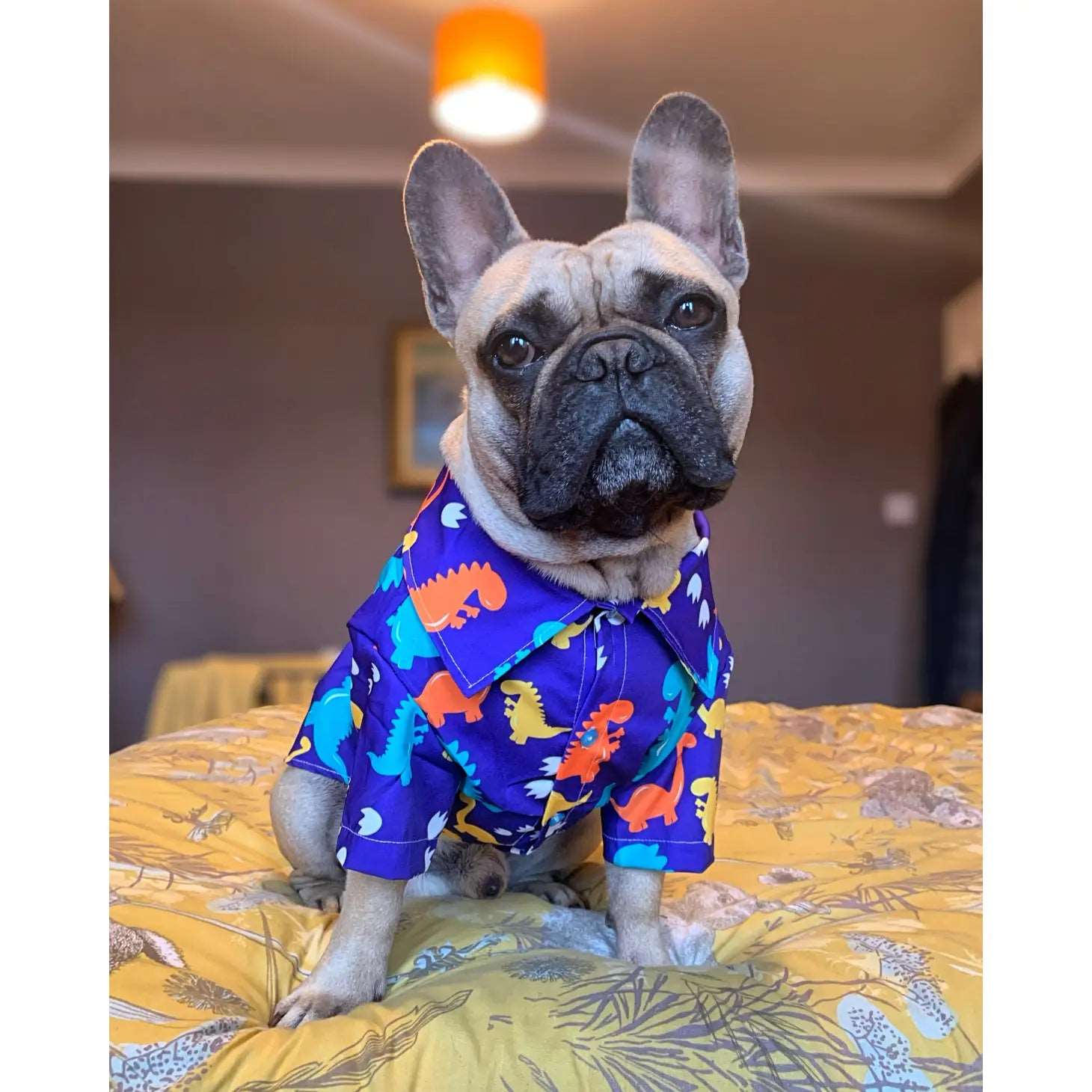 Dino Paws Dinosaur Dog Shirt