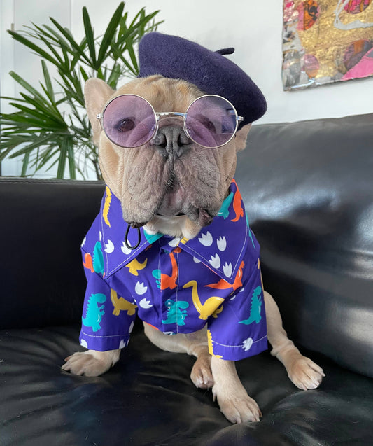 Dog Pooch sunglasses - RAINBOW