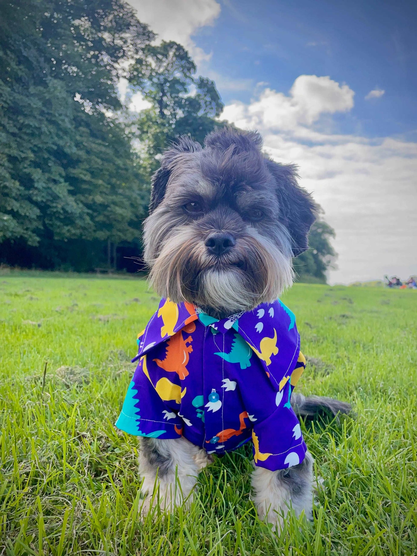 Dino Paws Dinosaur Dog Shirt