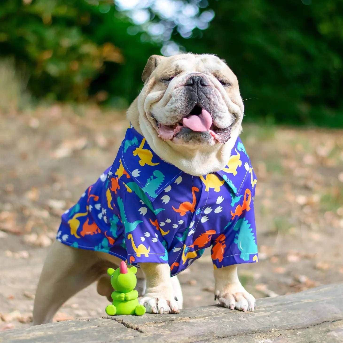 Dino Paws Dinosaur Dog Shirt