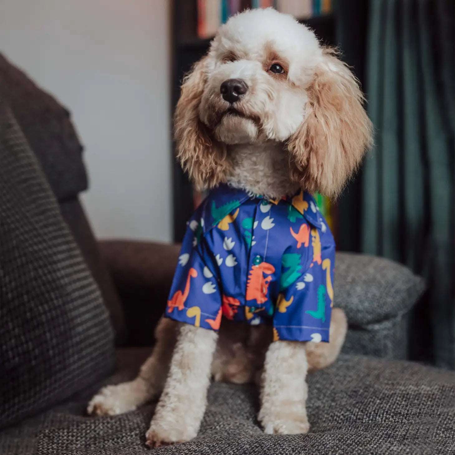 Dino Paws Dinosaur Dog Shirt