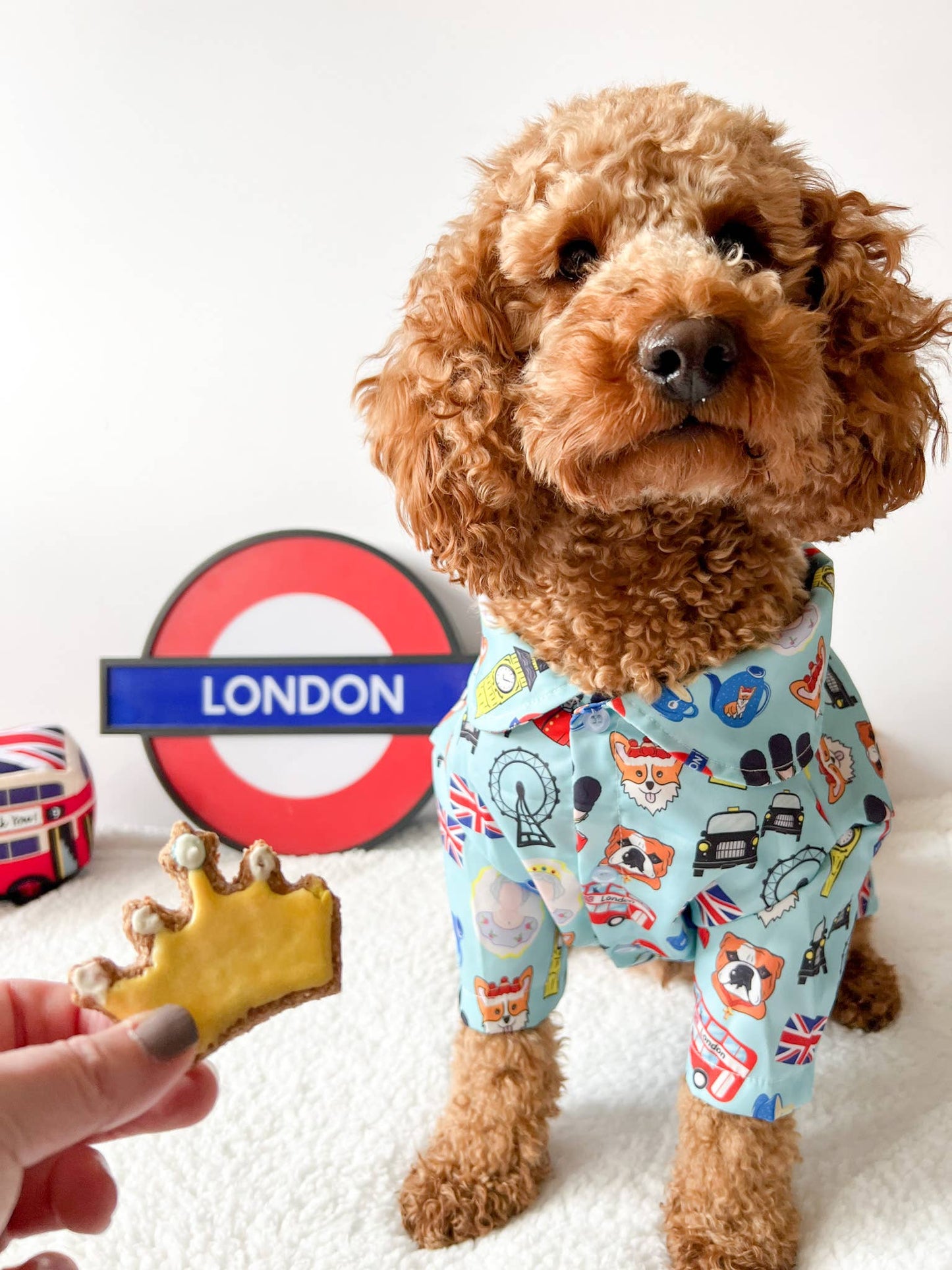 Yas Queen London British Dog Shirt