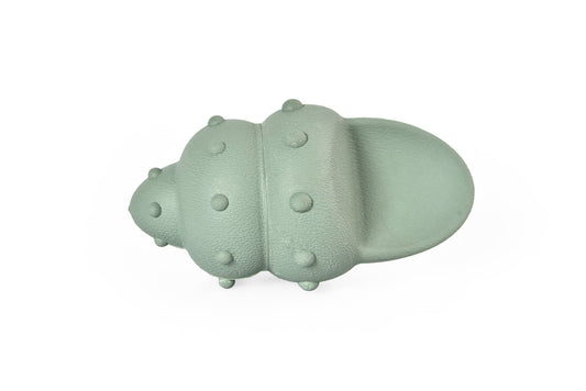 Recycled Rubber Conch Dog Treat Toy