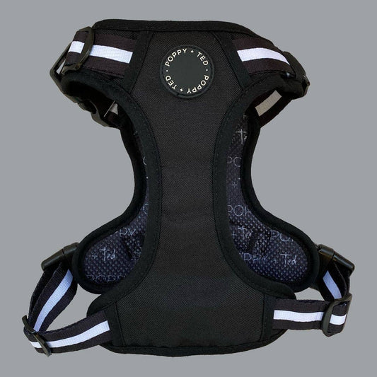 Jet Black Ombré Essentials 3-Click Tough Harness