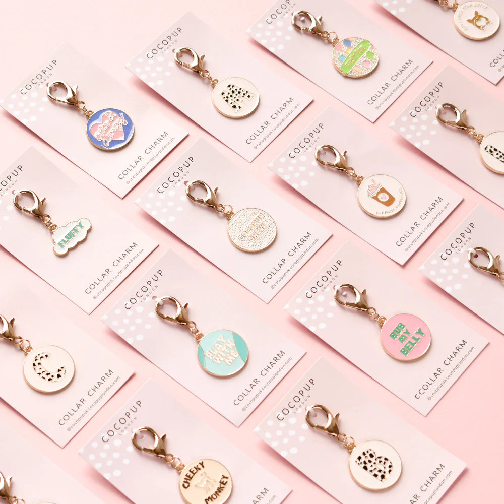 Cocopup Dog Collar Charm - Play With Me
