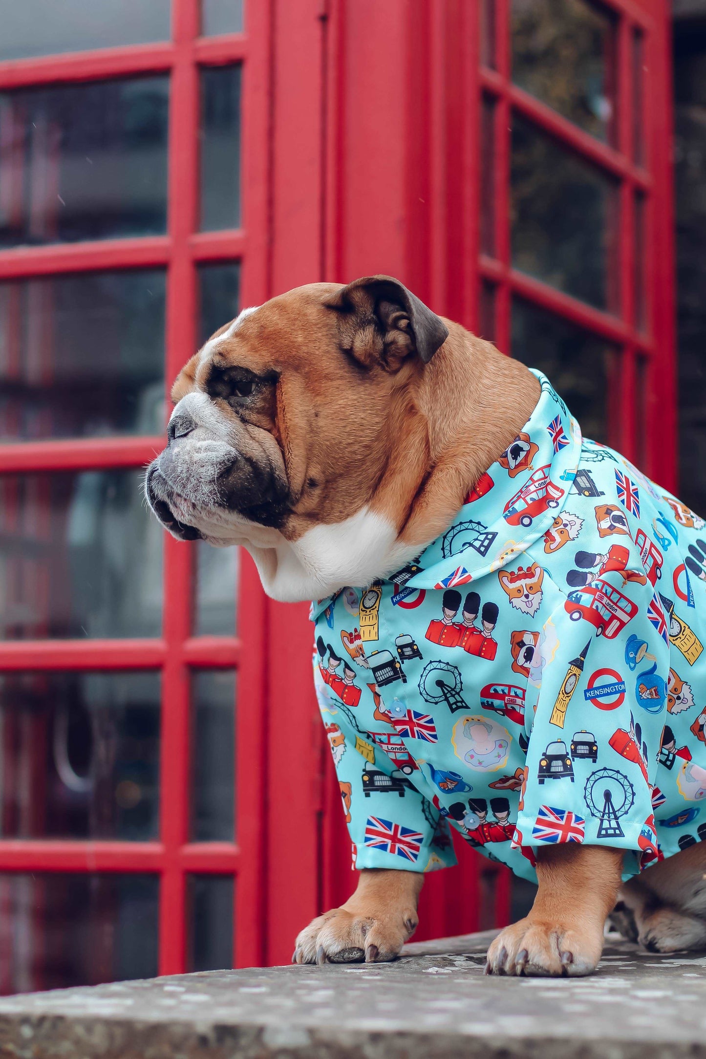 Yas Queen London British Dog Shirt
