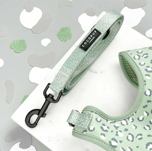 Sage Leopard Lead