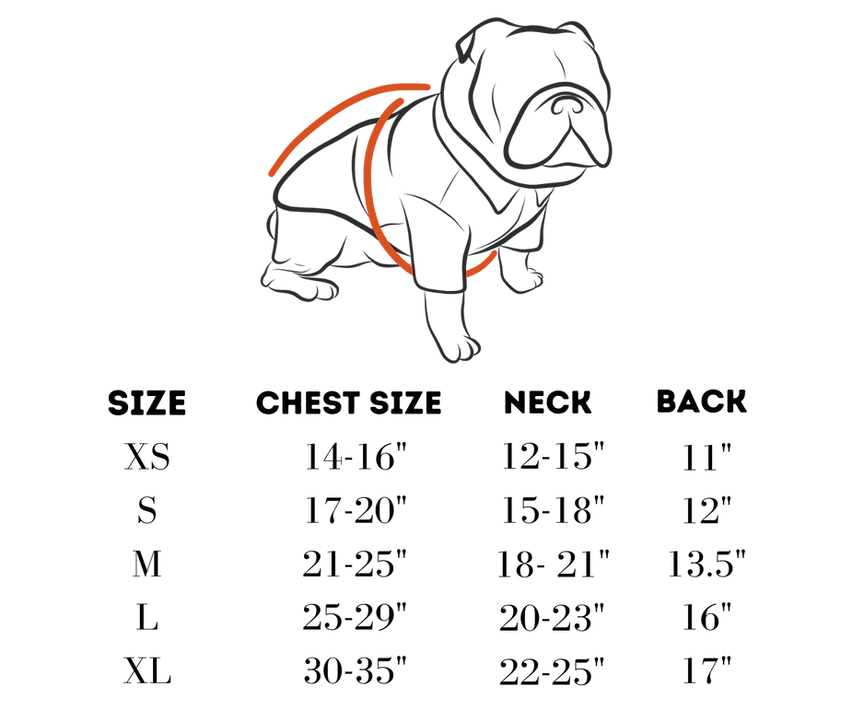 Scoop Dog Ice-cream summer Dog Shirt