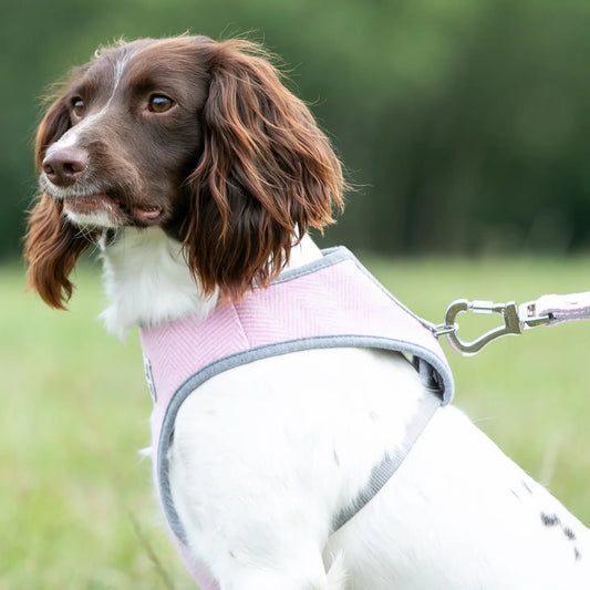 Hugo and Hudson Pink Herringbone Tweed Dog Harness