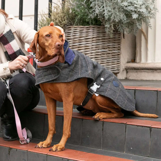 Grey & Navy Checked Tweed Dog Coat Jacket